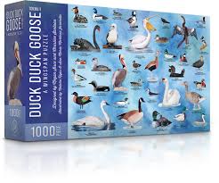 Duck Duck Goose Puzzle